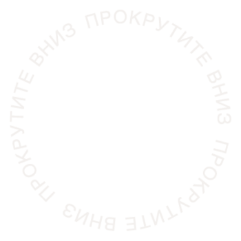 В каких целях организовывается среда общих данных проекта реализуемого с тим